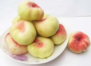 新疆蟠桃爆料新闻最新,甜蜜上市引关注！