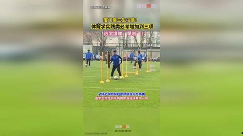 厦门体育爆料最新消息,独家爆料揭示赛场幕后故事