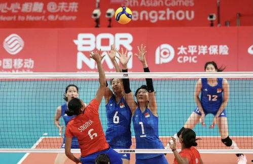 中国排球爆料最新消息新闻,揭秘赛场幕后热点事件